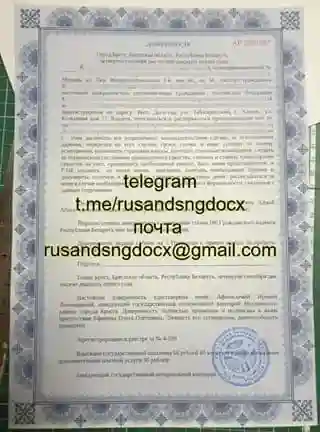 Купить Доверенность Беларусь